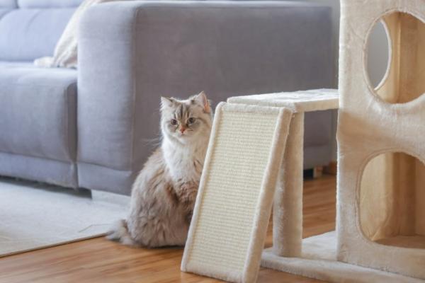 Katzenkratzbaum beige Kerbl Alessia - Katzenbaum [100cm] auch für Kitten geeignet, mit Kratzbrett und Katzenhöhle zweistöckig